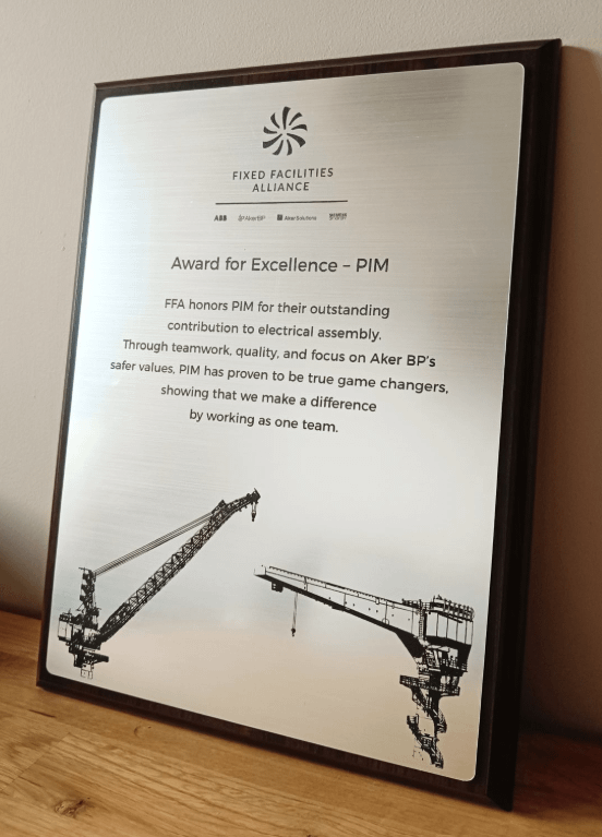Fully electric jib cranes completed